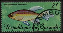 [Fish, type JA]