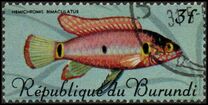 [Fish, type JB]