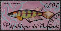 [Fish, Tip IZ1]