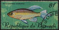 [Fish, Tip JA1]