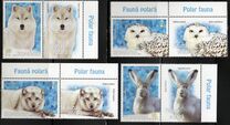 [Fauna - Polar Animals, Tip LAC]