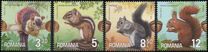 [Fauna - Squirrels, type LCA]