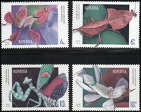 [Flowers - Fantasies of the Fauna, type LQI]