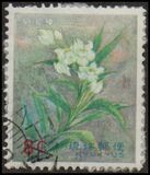 [Ryukyu Flowers, tipas CY]