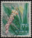 [Ryukyu Flowers, tipas DB]