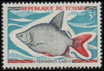 [Fish, type HP]