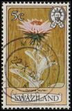 [Flowers, प्रकार IF]