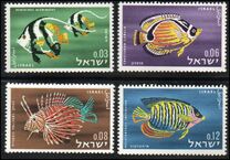 [Red Sea Fish, тып IK]