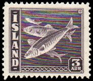 [Fish, tip BS]
