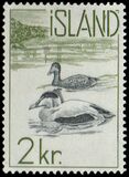 [Atlantic Salmon & Common Eider, type EU1]