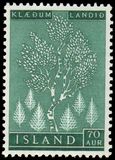 [Trees - Reforestation, տեսակ EI]
