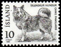 [Fauna - Icelandic Dog and Arctic Fox, type LN]