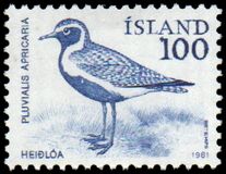 [Birds - Wren, Golden Plover and Raven, 유형 MF]