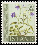 [Flowers, type FG]