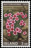 [Nature Protection Year, type HW]