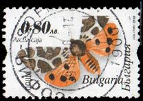 [Moths, type FNI]