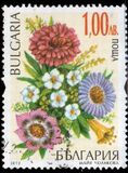 [Fauna - Flowers, type GSB]