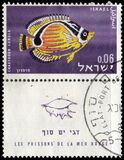 [Red Sea Fish, тып IL]