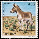 [Nature Reserves. Animals of Biblical Times, Tüüp RJ]