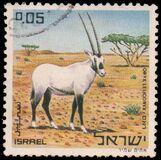 [Nature Reserves. Animals of Biblical Times, වර්ගය RK]