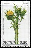 [Thistles, jenis ADL]