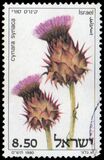 [Thistles, jenis ADN]