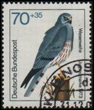 [Youth Hostel - Birds, тип UD]
