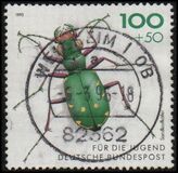 [Youth Hostel - Insects, type BCL]