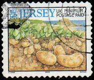 [Agricultural Products, type AJF]
