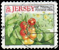 [Agricultural Products, type AJC]