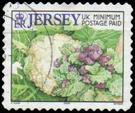 [Agricultural Products, type AJE]