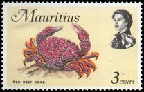 [Marine Life, type EY]