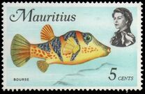 [Marine Life, type FA]