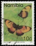 [Butterflies, type CH]