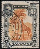 [Giraffe, type C5]