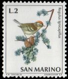 [Birds, type YY]