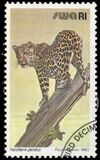 [Wild Mammals, Tip HX]