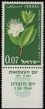 [The 13th Anniversary of Independence. Flowers, type HI]
