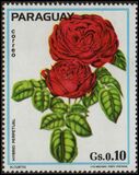 [Roses, type BCE]