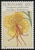 [Flower Drawings by Maria Sibylle Merian, type AOI]