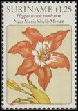 [Flower Drawings by Maria Sibylle Merian, type AOK]