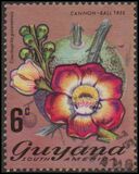 [Local Flowers, tip DP]