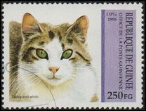 [Cats, tip API]