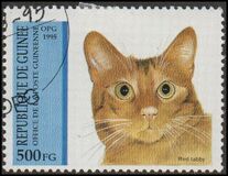 [Cats, tip APK]