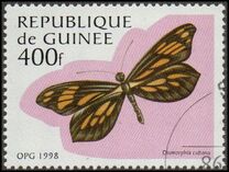 [Butterflies, type AWX]