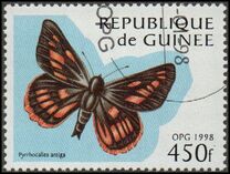 [Butterflies, type AWY]