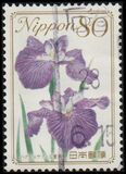 [Flowers, tip HWG]