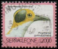 [Birds - Year "2000" on Stamps, type BAP2]