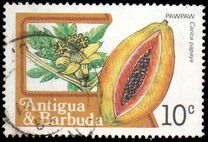 [Fruits and Flowers, प्रकार BY]