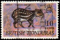 [Wildlife, סוג DE]